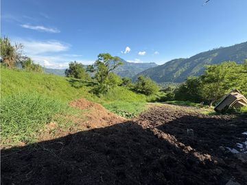 place photo 49