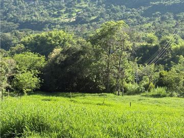 place photo 43
