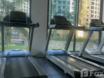 place photo 47