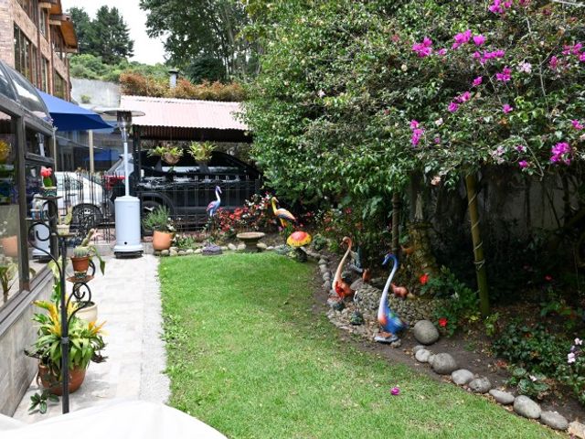 place photo 20