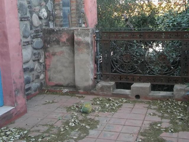 place photo 24