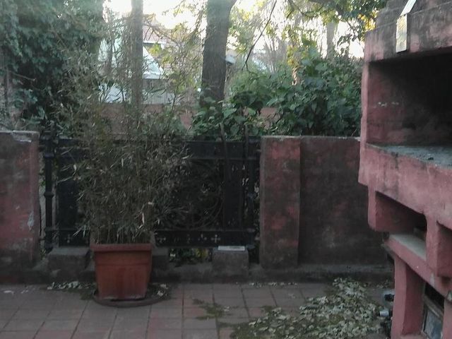 place photo 25