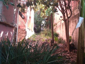 place photo 13