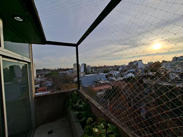 place photo 14