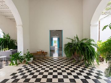 place photo 25