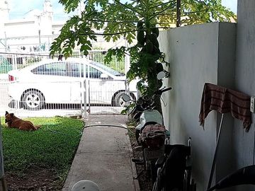place photo 19