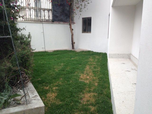 place photo 43