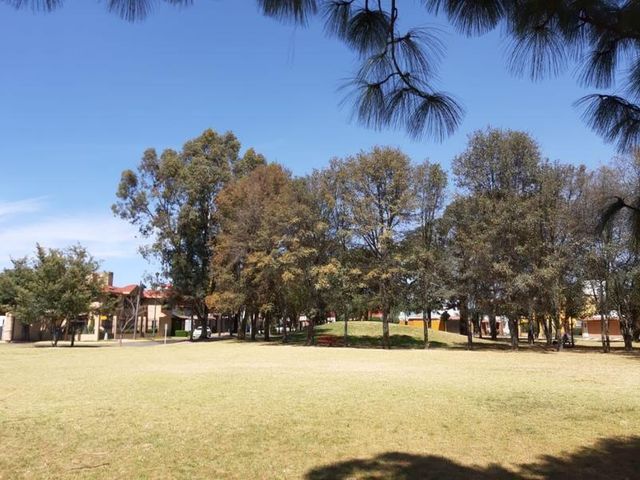 place photo 34