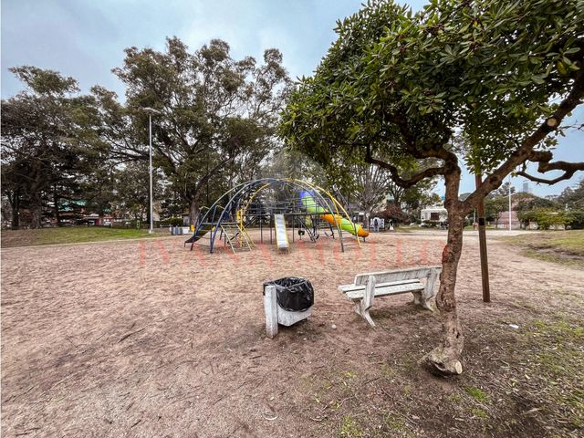 place photo 34