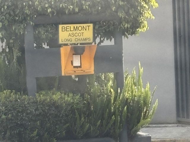 place photo 29