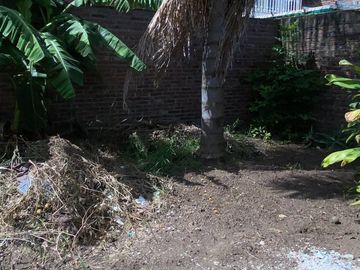 place photo 26