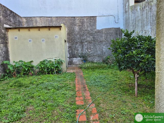 place photo 46