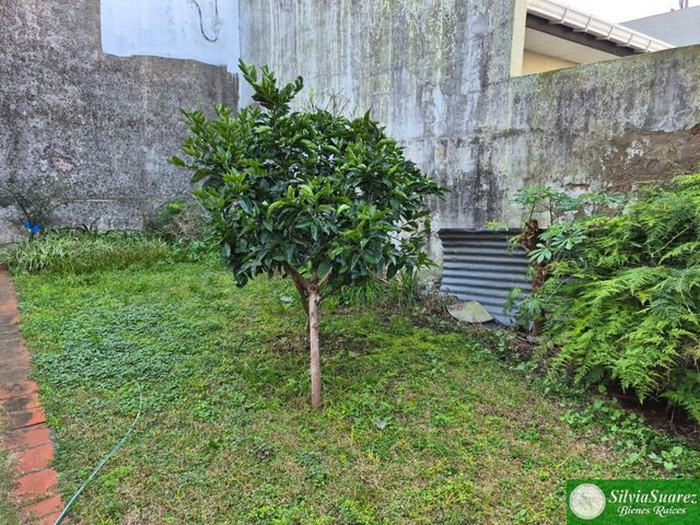 place photo 44