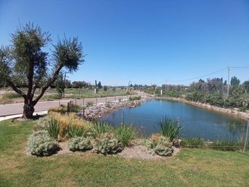 place photo 22