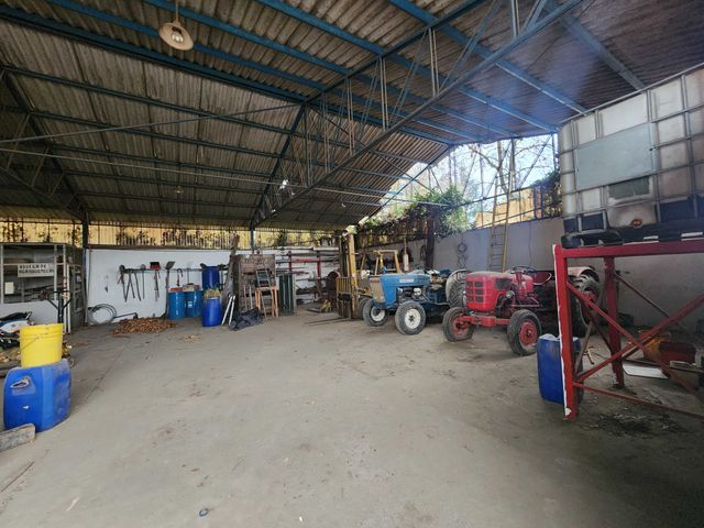 place photo 23