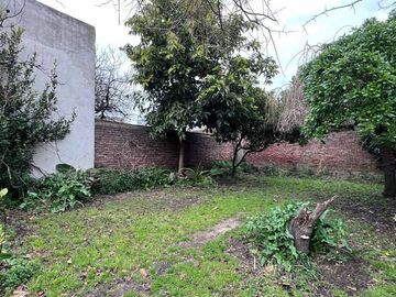 place photo 26