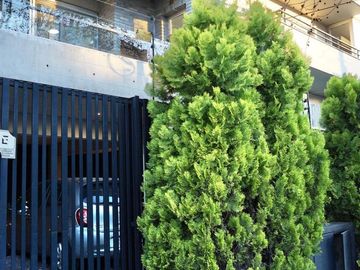 place photo 33