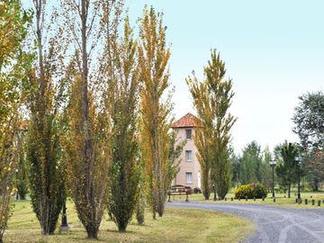 place photo 19