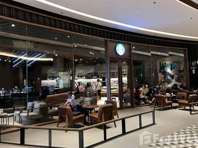 place photo 41