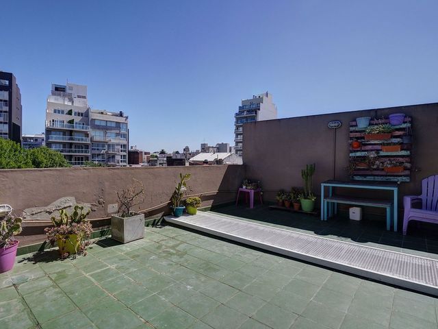 place photo 32