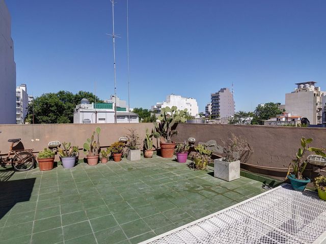 place photo 37