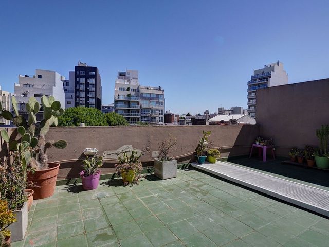 place photo 33