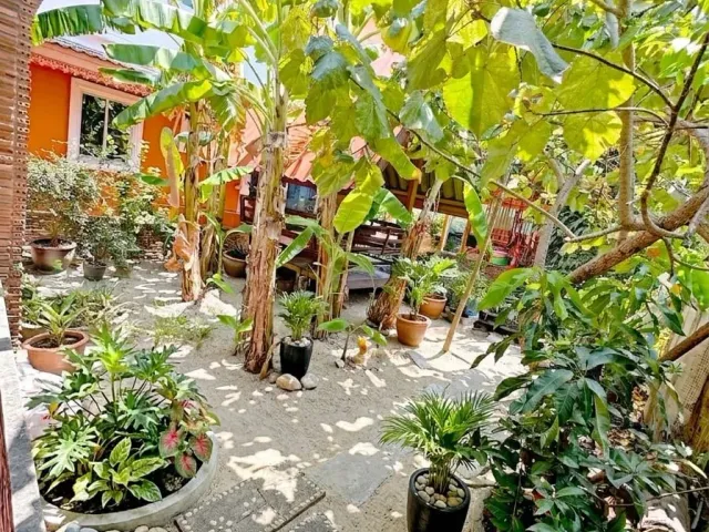 place photo 35