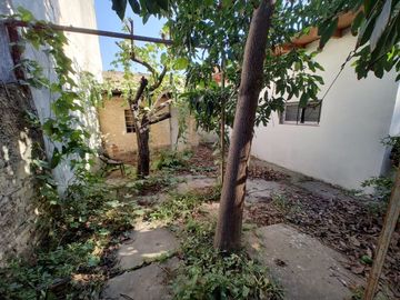 place photo 14