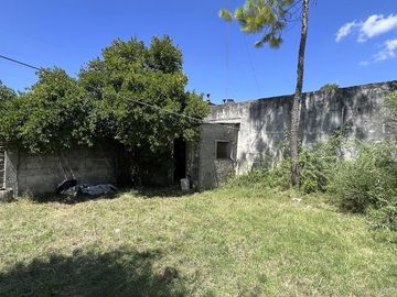 place photo 24