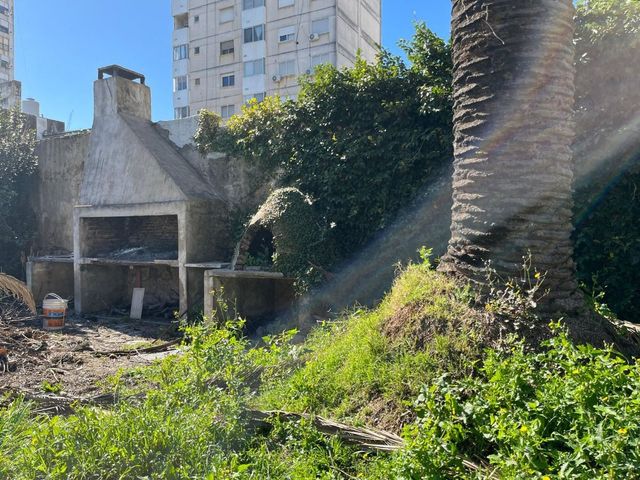 place photo 22