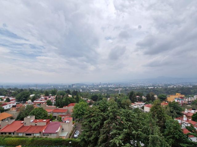 place photo 39