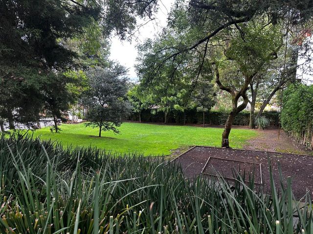 place photo 27