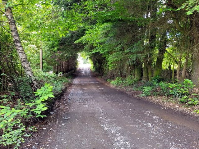 place photo 31