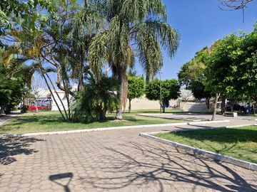 place photo 15