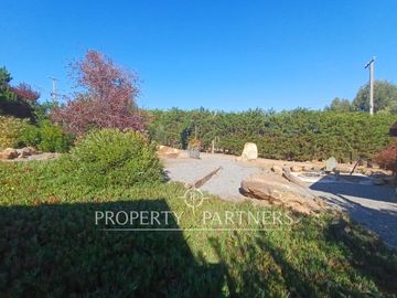 place photo 38