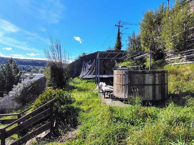 place photo 34