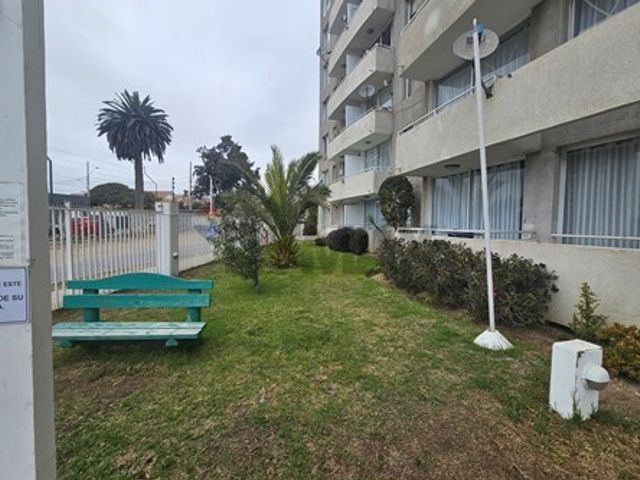 place photo 27