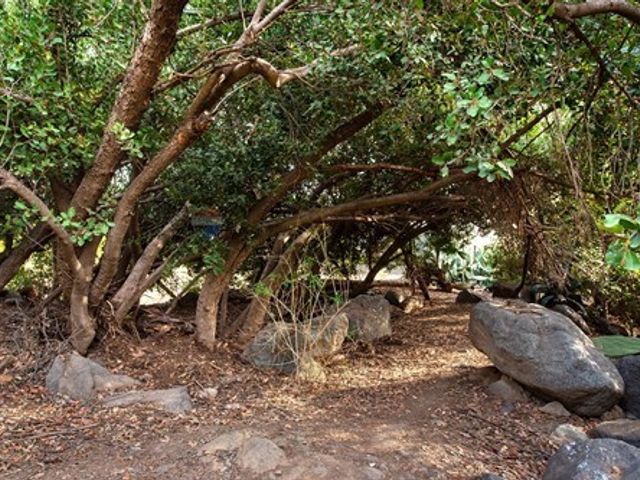 place photo 40