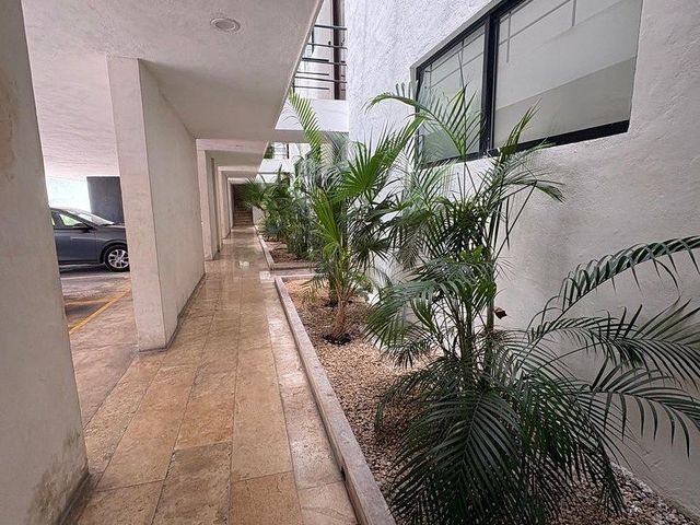 place photo 36