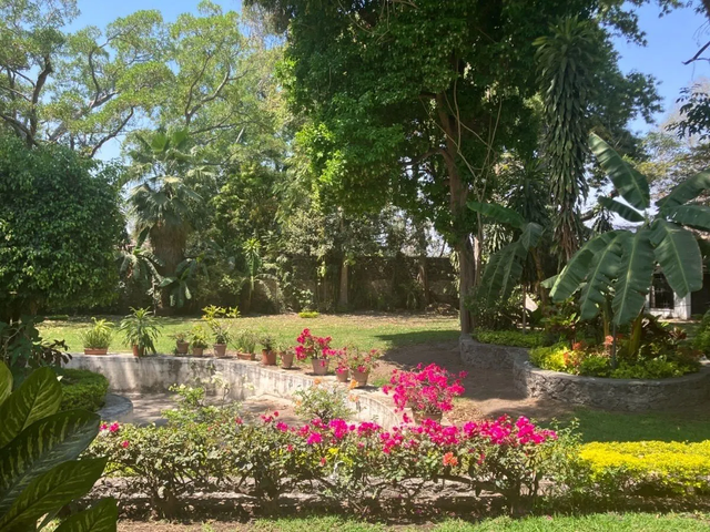 place photo 9