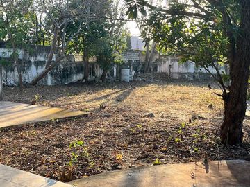 place photo 21