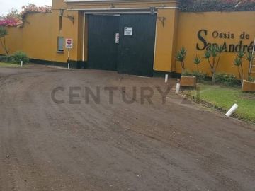 place photo 39