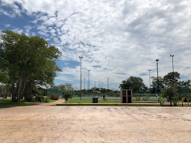place photo 11
