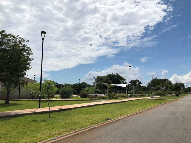 place photo 14