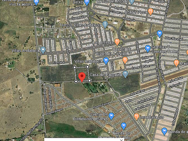place photo 7