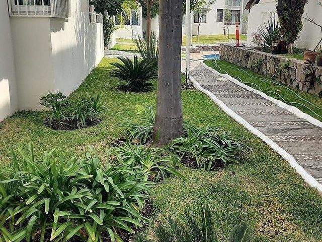 place photo 20