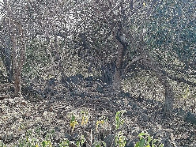 place photo 24