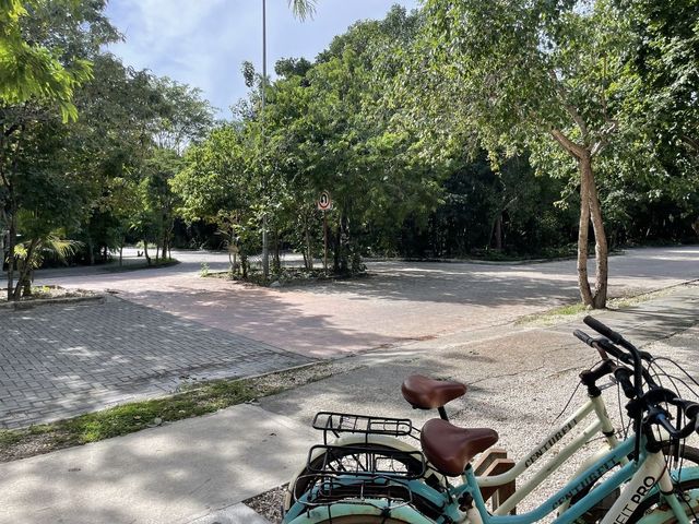 place photo 25