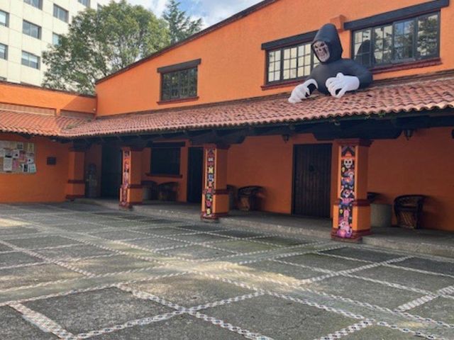 place photo 23