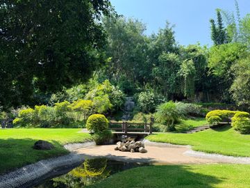 place photo 31